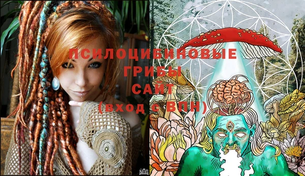 дмт Абинск