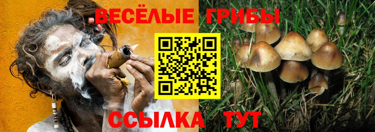 Галлюциногенные грибы Psilocybe  Псилоцибиновые грибы GOLDEN TEACHER  Вход с VPN  Копейск 