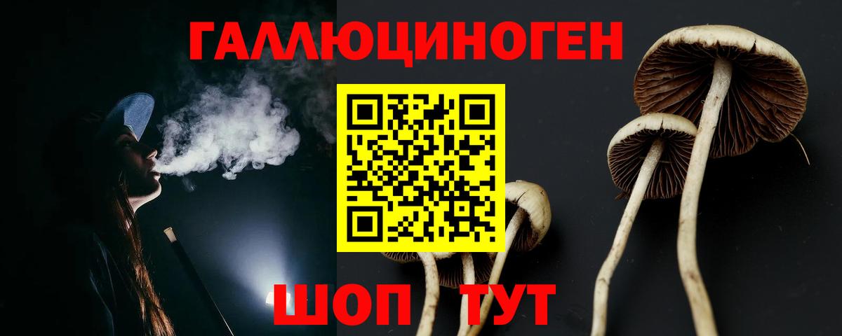 Псилоцибиновые грибы GOLDEN TEACHER Копейск